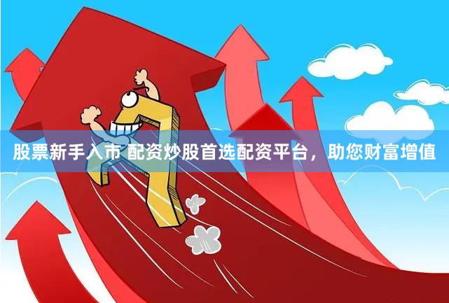 股票新手入市 配资炒股首选配资平台，助您财富增值
